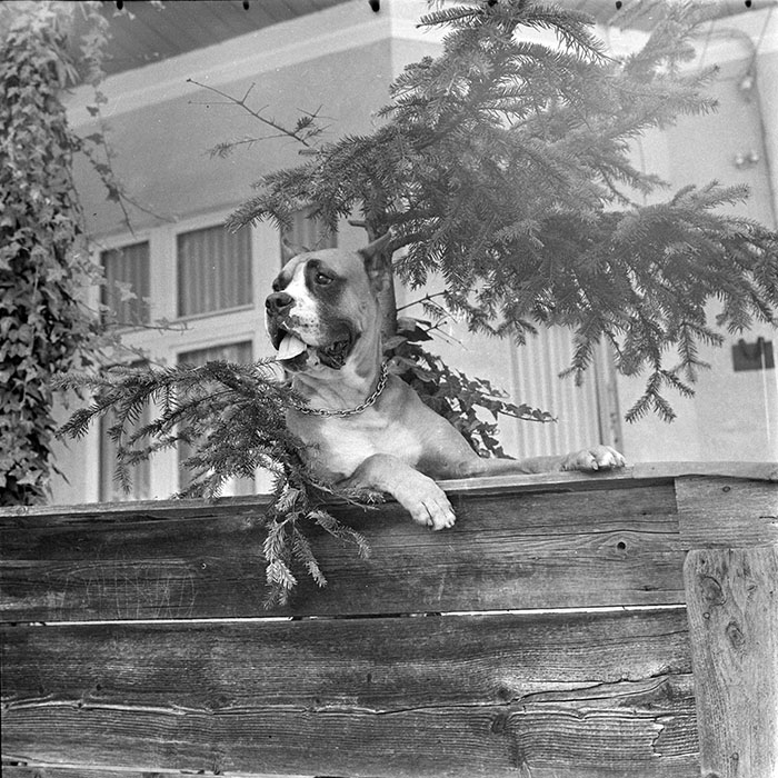 minerva_1983_c1_c2r2_011