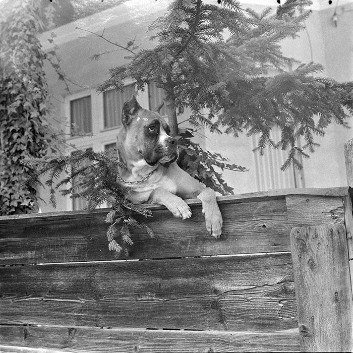 minerva_1983_c1_c2r2_012