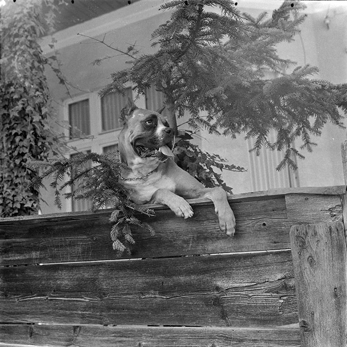 minerva_1983_c1_c2r2_013