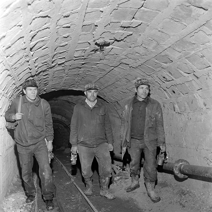 minerva_1983_c1_c2r3_008