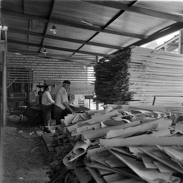 minerva_1983_c1_c2r4_001