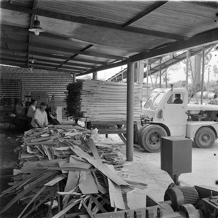 minerva_1983_c1_c2r4_002