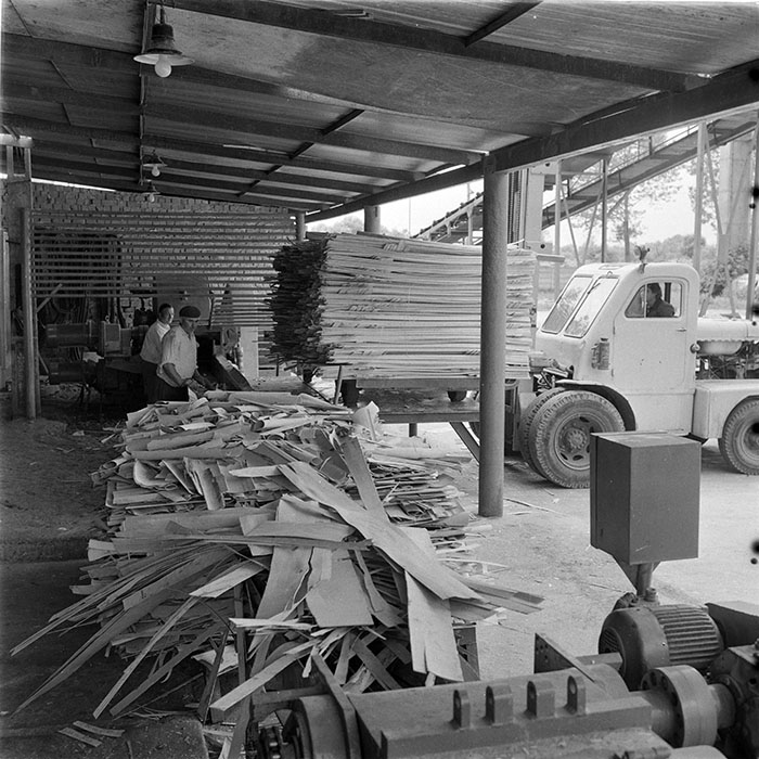 minerva_1983_c1_c2r4_003