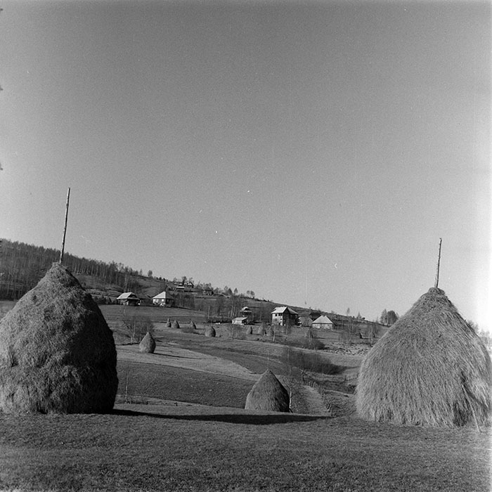 minerva_1983_c1_c3r3_002