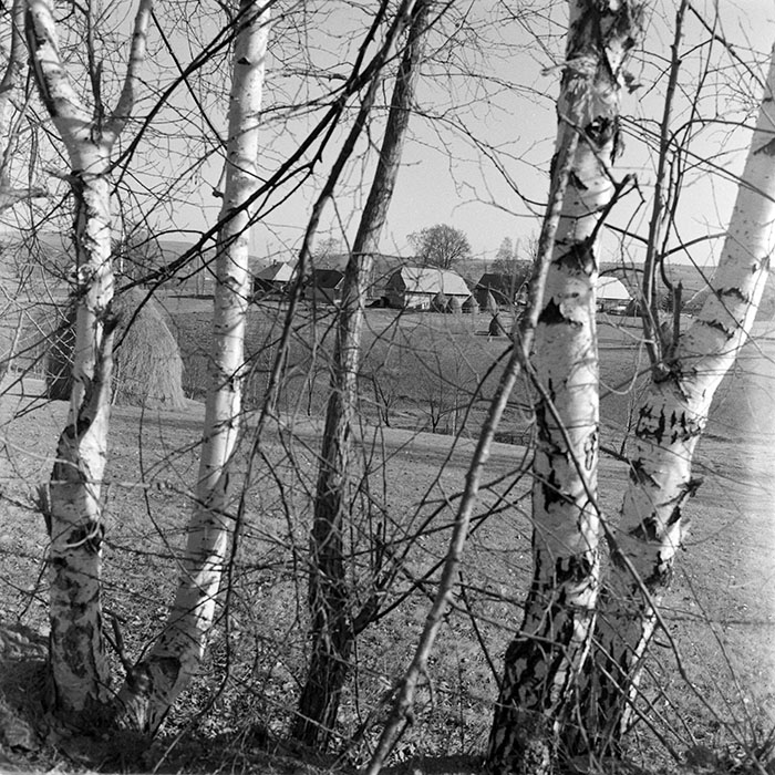 minerva_1983_c1_c3r3_003