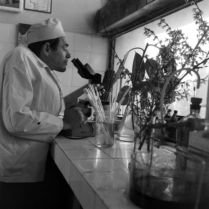 minerva_1983_c1_c4r5_009