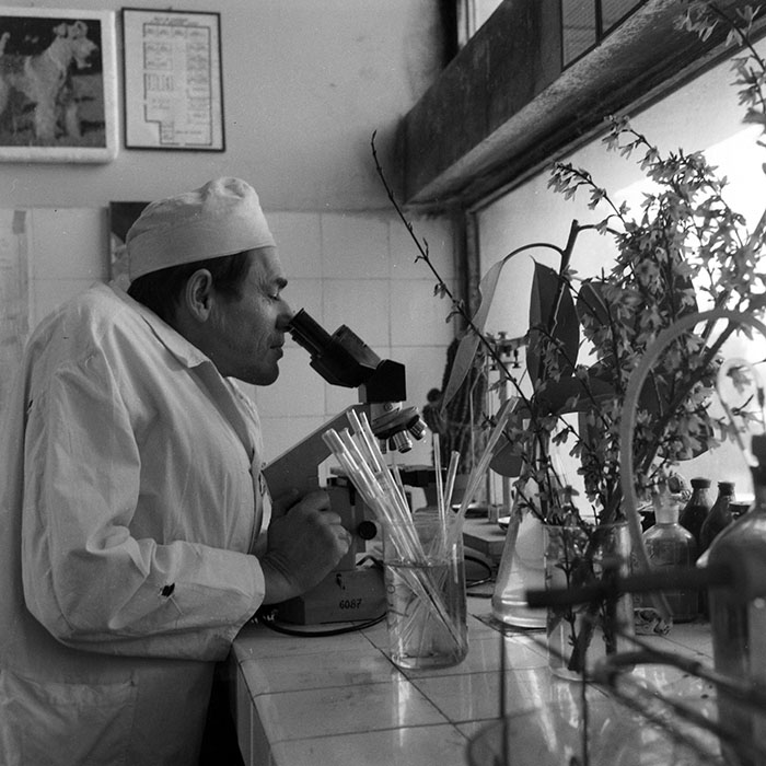 minerva_1983_c1_c4r5_010