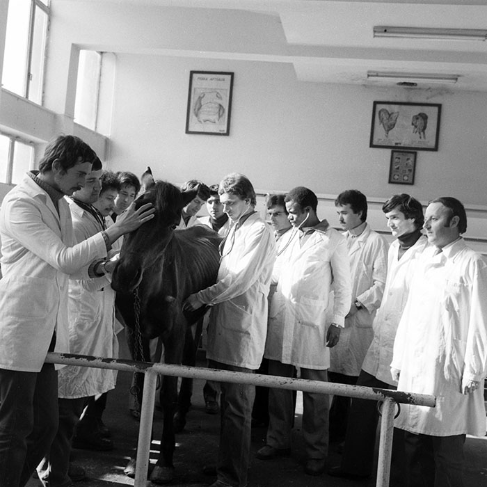 minerva_1983_c1_c4r5_011