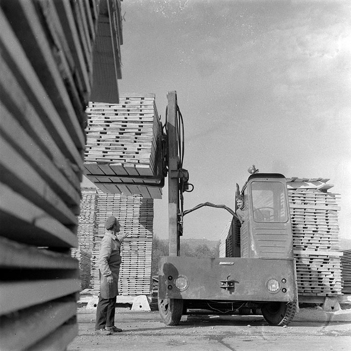 minerva_1983_c1_c5r2_001