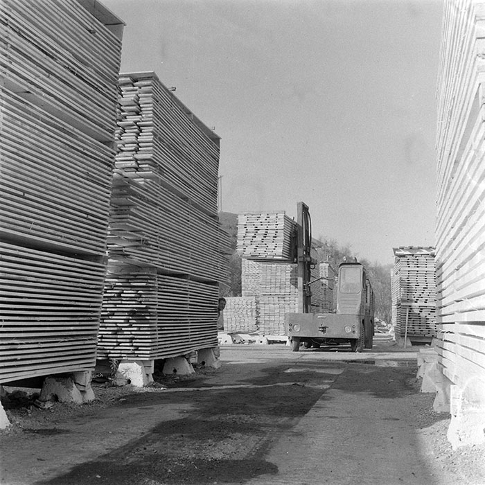 minerva_1983_c1_c5r2_003