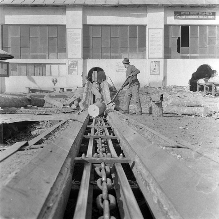 minerva_1983_c1_c5r2_007