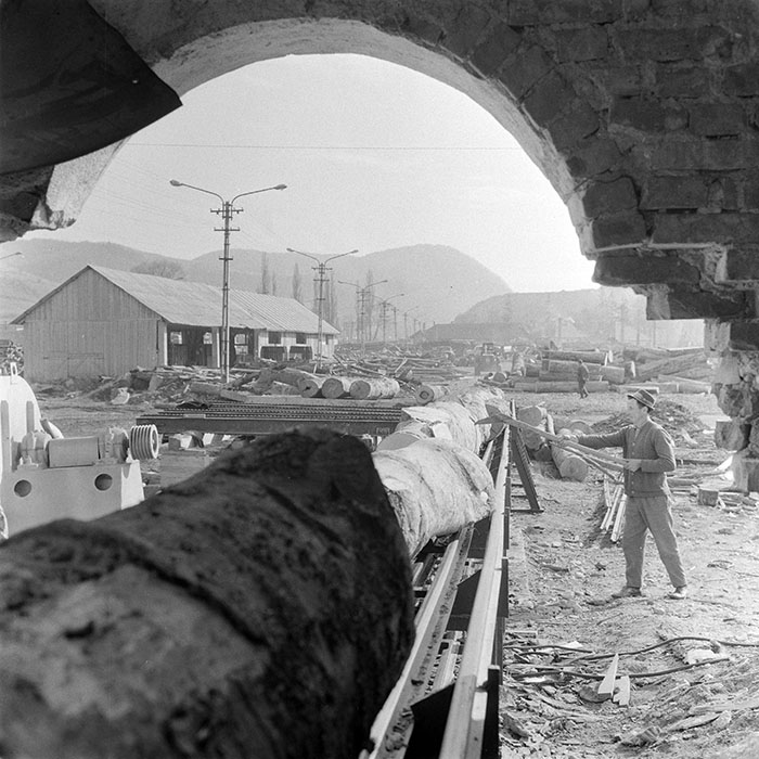 minerva_1983_c1_c5r2_008