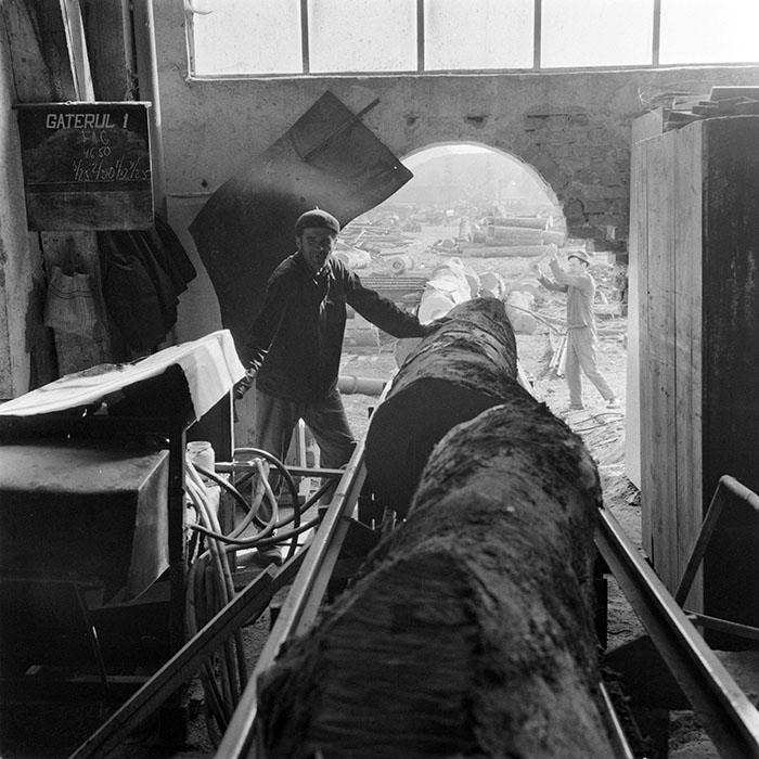 minerva_1983_c1_c5r2_010