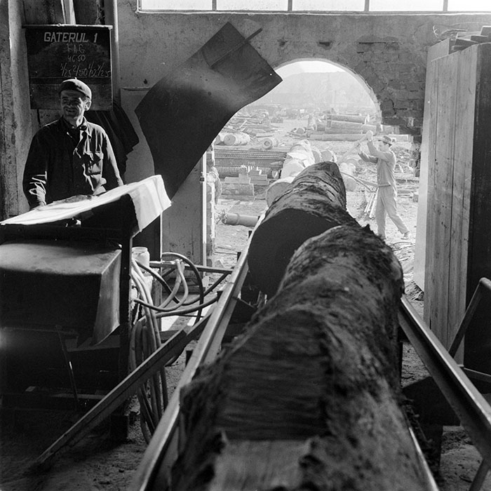 minerva_1983_c1_c5r2_011