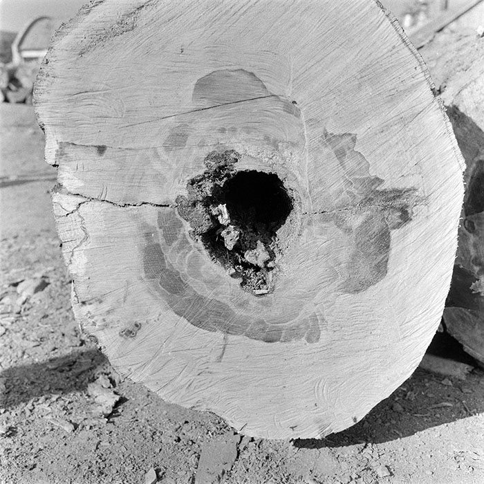 minerva_1983_c1_c5r2_012