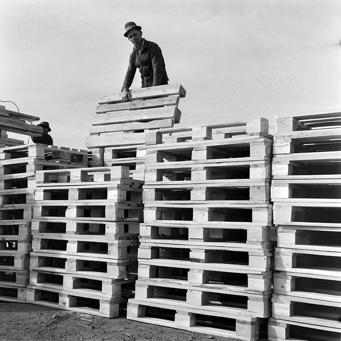 minerva_1983_c1_c5r2_017