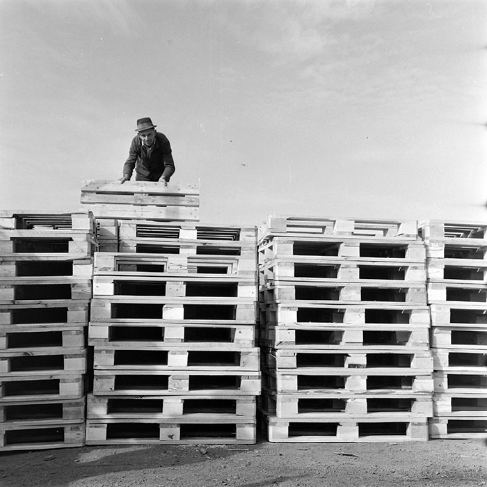 minerva_1983_c1_c5r2_018