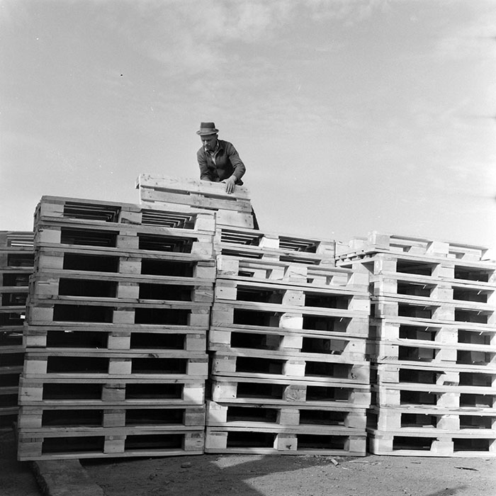 minerva_1983_c1_c5r2_019