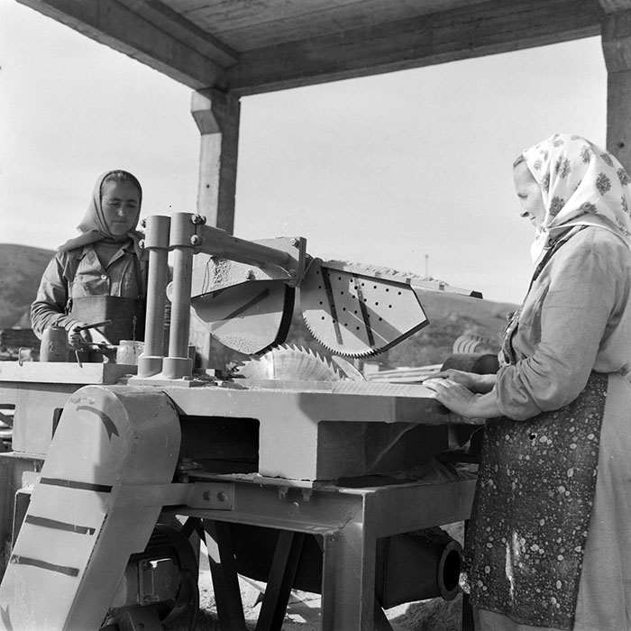 minerva_1983_c1_c5r2_021