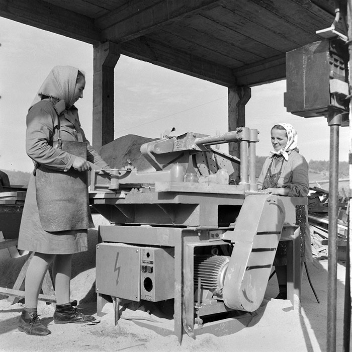 minerva_1983_c1_c5r2_022