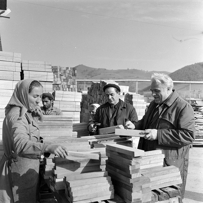 minerva_1983_c1_c5r2_024