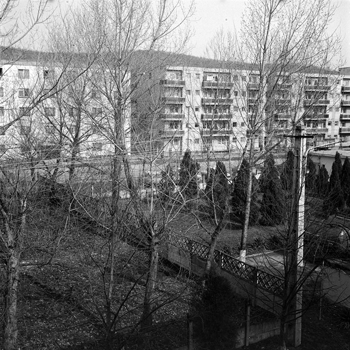 minerva_1983_c1_c5r3_001