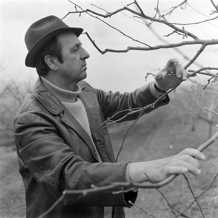 minerva_1983_c1_c5r3_013