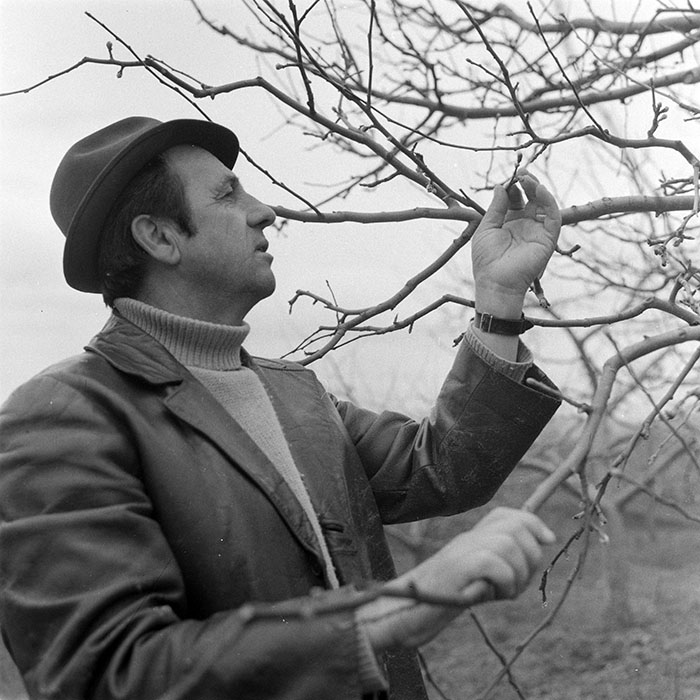 minerva_1983_c1_c5r3_014