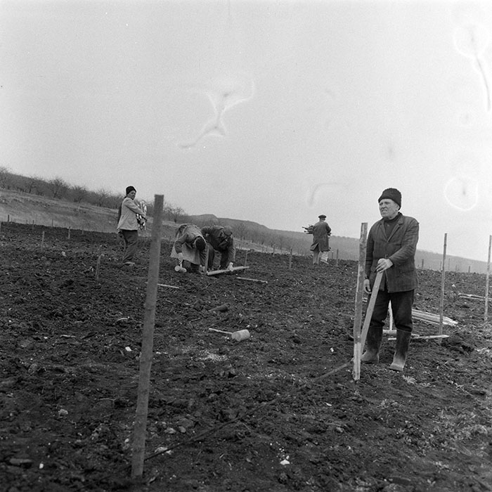 minerva_1983_c1_c5r3_018