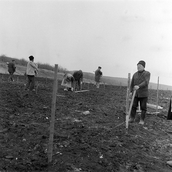 minerva_1983_c1_c5r3_019