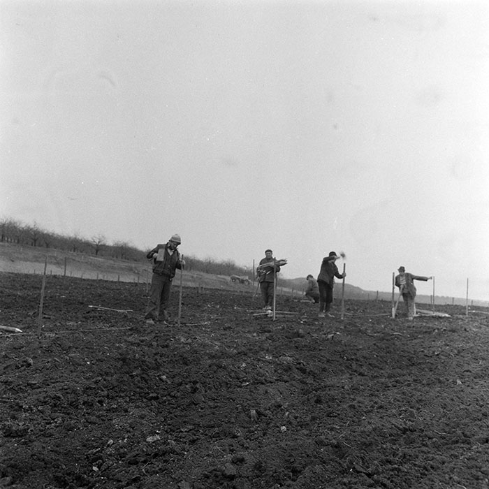 minerva_1983_c1_c5r3_020