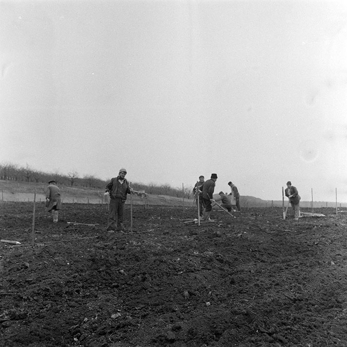 minerva_1983_c1_c5r3_021