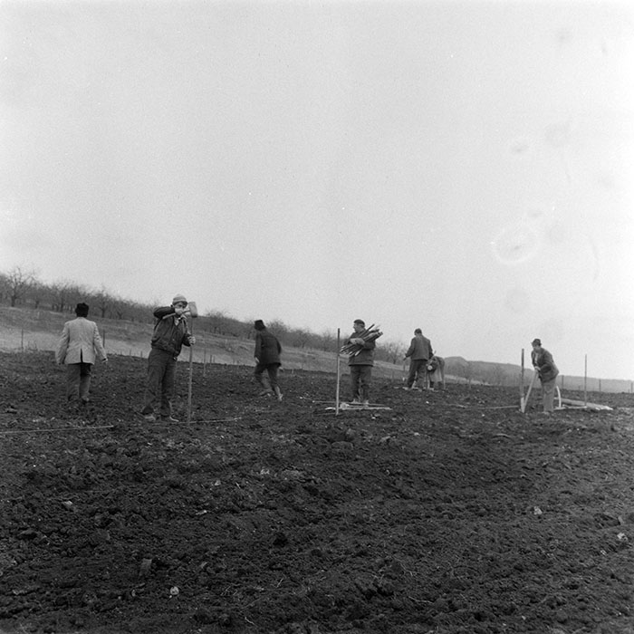 minerva_1983_c1_c5r3_022