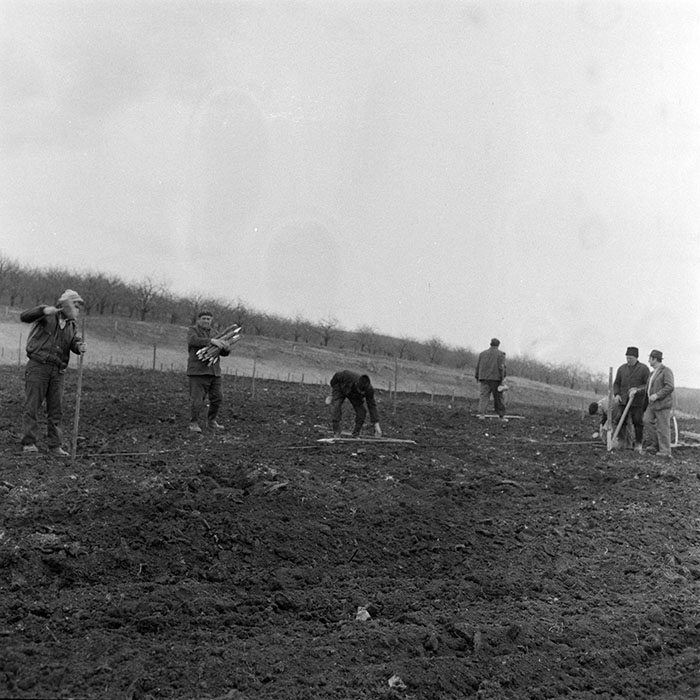 minerva_1983_c1_c5r3_023