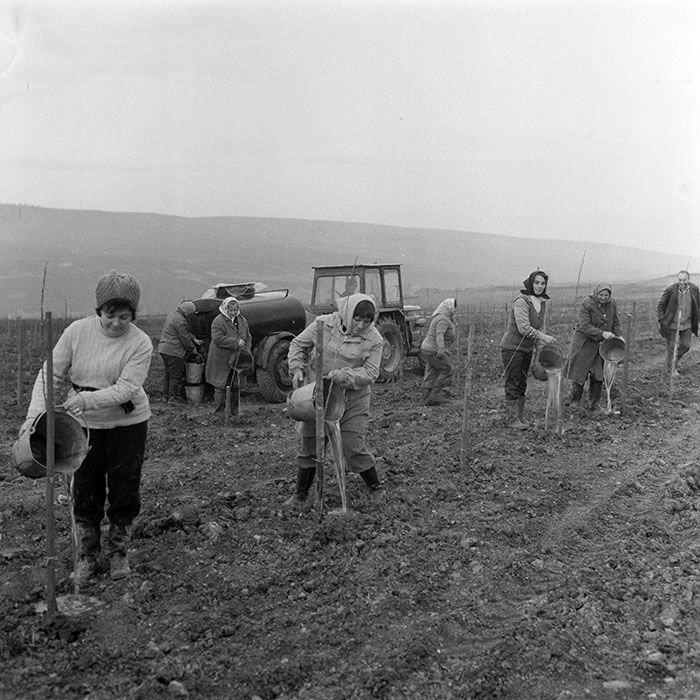 minerva_1983_c1_c5r4_002