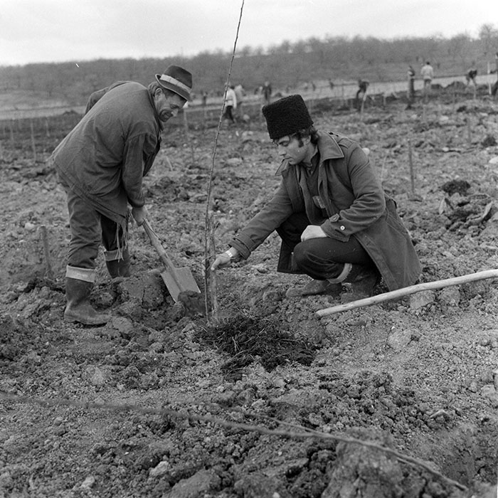 minerva_1983_c1_c5r4_005