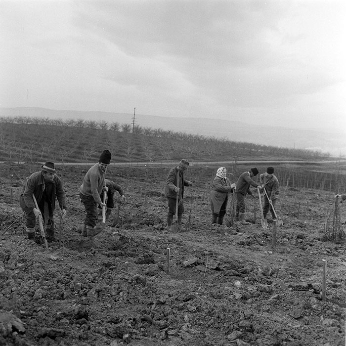 minerva_1983_c1_c5r4_006