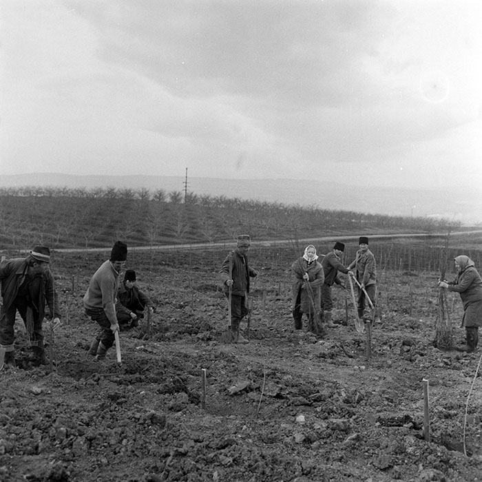 minerva_1983_c1_c5r4_007