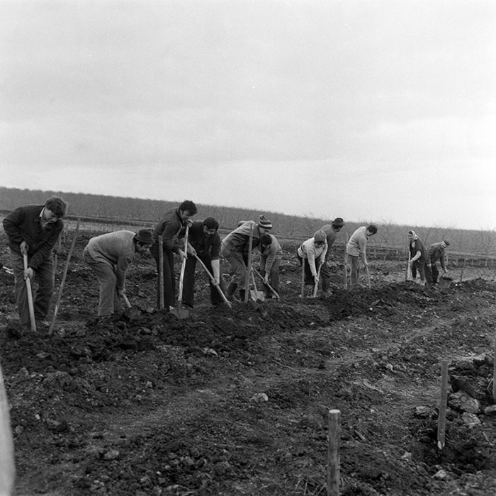 minerva_1983_c1_c5r4_008