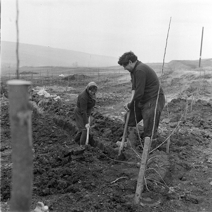 minerva_1983_c1_c5r4_015