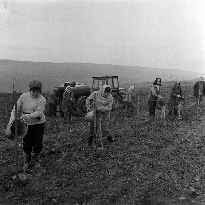 minerva_1983_c1_c5r4_016