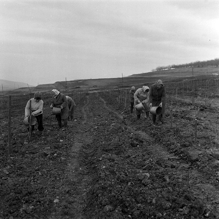 minerva_1983_c1_c5r4_018