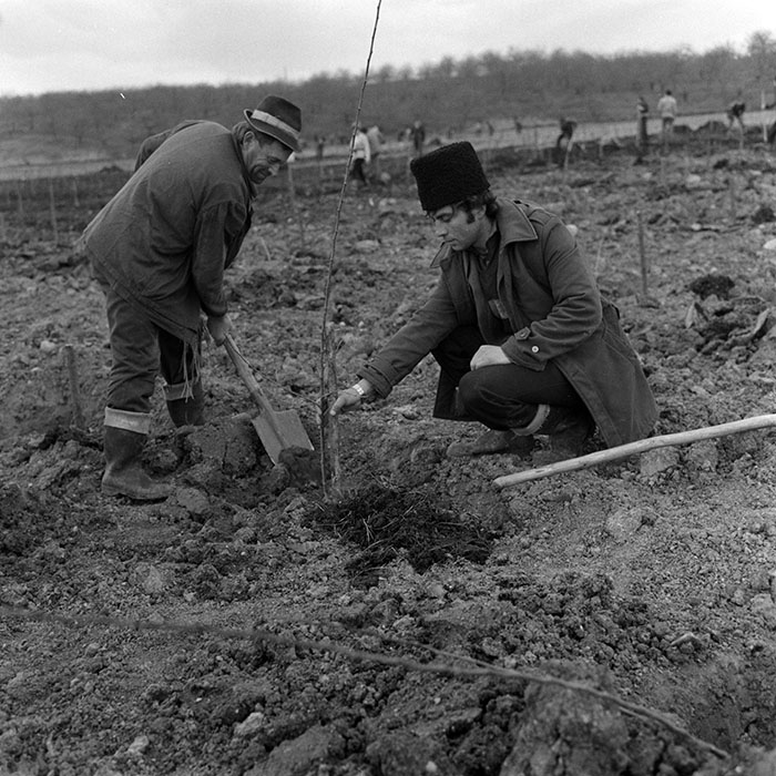 minerva_1983_c1_c5r4_019