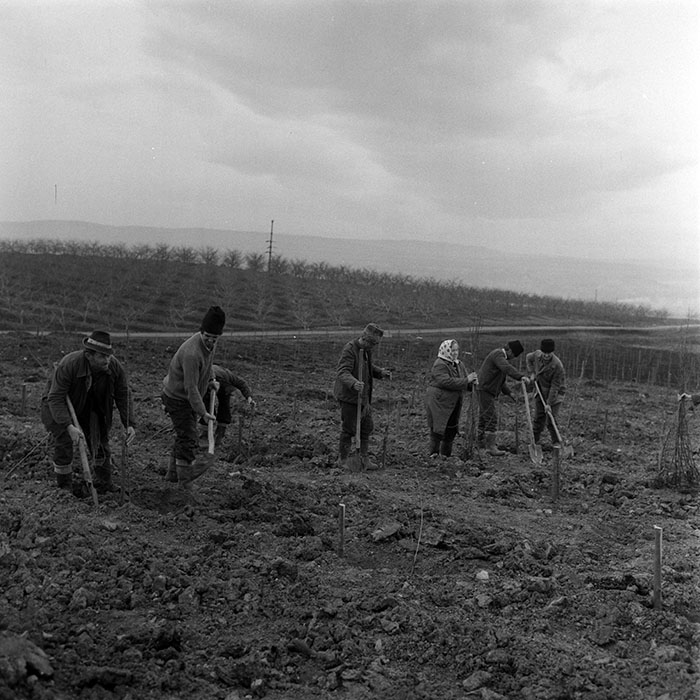 minerva_1983_c1_c5r4_020