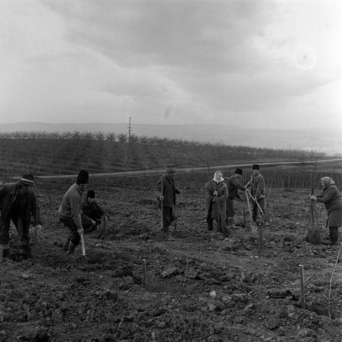 minerva_1983_c1_c5r4_021