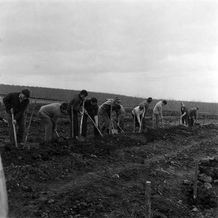 minerva_1983_c1_c5r4_022