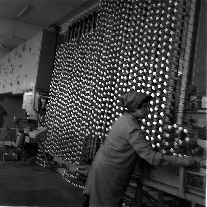 minerva_1983_c1_c6r2_006