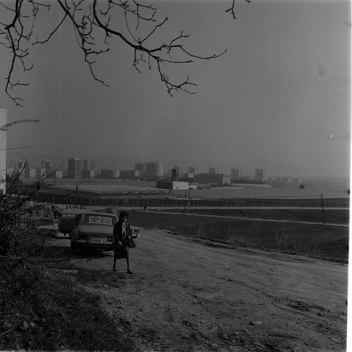 minerva_1983_c1_c6r3_007