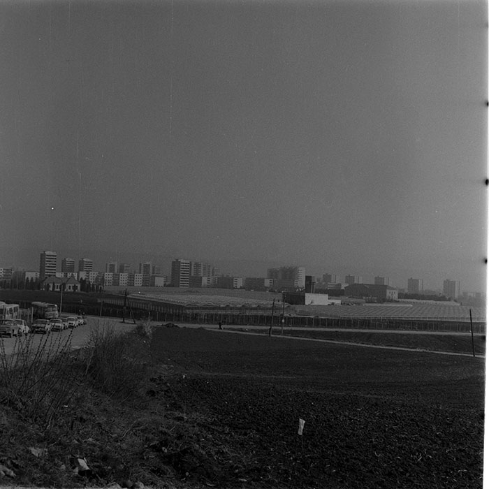 minerva_1983_c1_c6r3_008