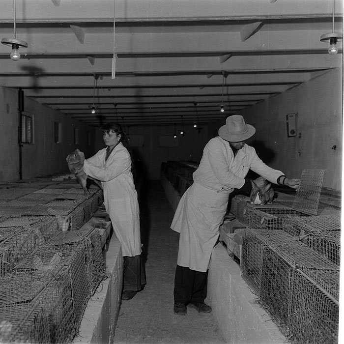 minerva_1983_c1_c6r3_013